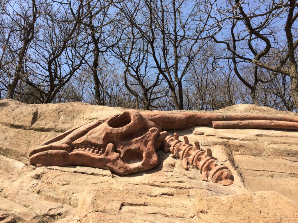 Dinosaur fossil sculpture embedded in a rock face