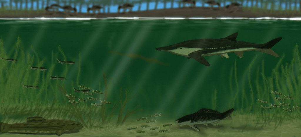 Underwater scene with ancient fish and marine plants. Large fish swim near the bottom, while smaller fish gather above. Sunlight filters through the green water.