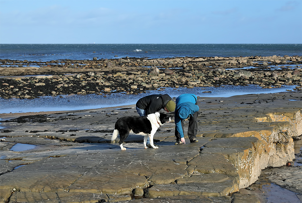 Two people in jackets and a black-and-white dog explore a rocky seashore under a clear blue sky, conveying curiosity and tranquility.