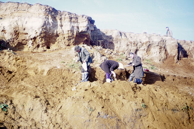 Group of people in coats digging into a sandy cliff