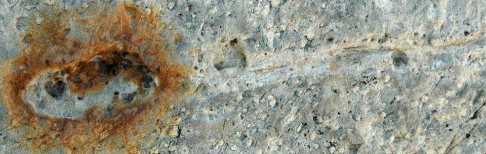 DInosaur ridge