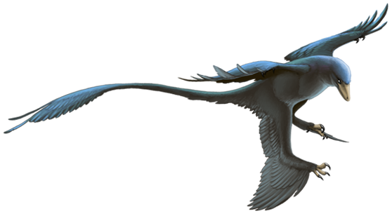 A Blueprint for Flight Evolution