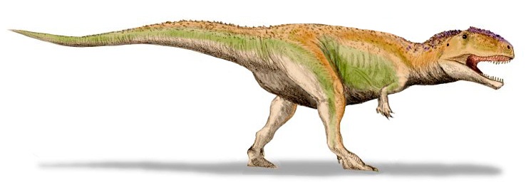 Giganotosaurus carolinii