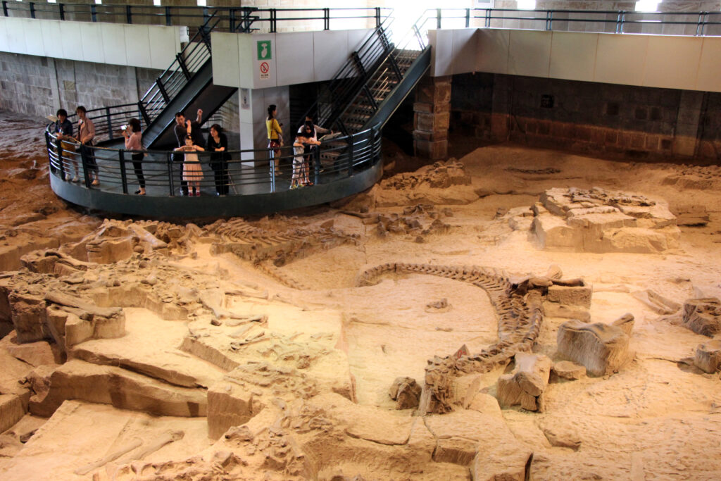 Visitors observe a large fossil excavation site from a raised platform. The setting has a historical ambiance, showcasing ancient skeletal remains.