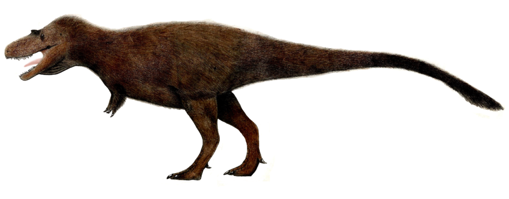 Illustration of a feathered Gorgosaurus with brown plumage. The dinosaur is posed in profile, showcasing its muscular build and open mouth on a white background.
