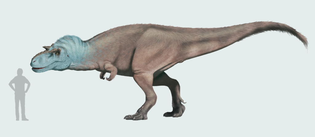 Illustration of a dinosaur with a turquoise head and brown body, facing left. A human silhouette stands to the left for scale comparison.