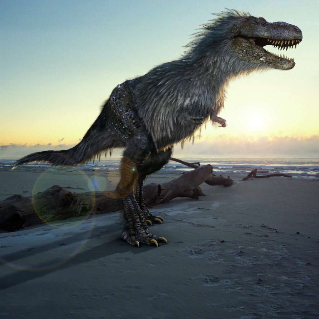 A feathered dinosaur stands on a sandy beach at sunrise. It has a fierce expression, with an open mouth and sharp teeth, creating a dramatic scene.