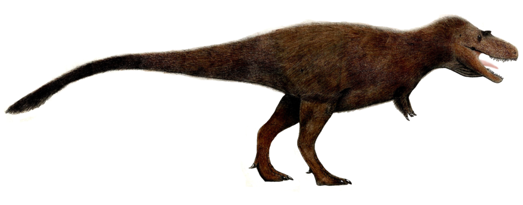Illustration of a feathered Tyrannosaurus rex, with a brown, textured coat, large head, and sharp teeth, walking right on two strong legs.