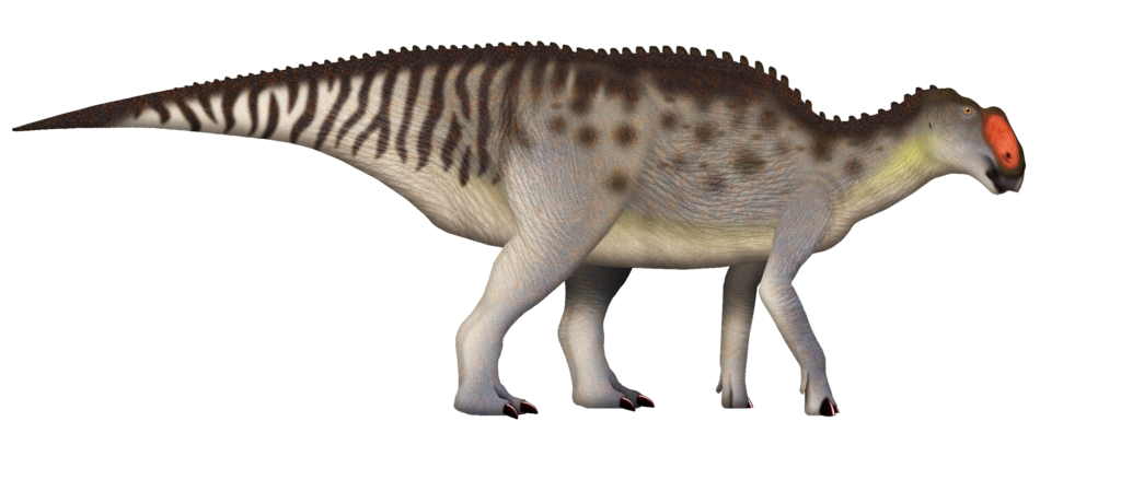 Illustration of a dinosaur with brown and white stripes and spots. It has a distinctive red snout, textured skin, and a low, stout posture.
