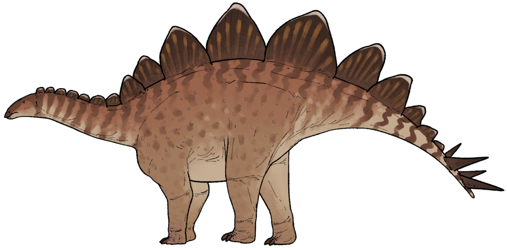 Illustration of a Stegosaurus with brown, patterned skin, lined with large, dark plates on its back, and a spiked tail. The dinosaur stands calmly on four legs.