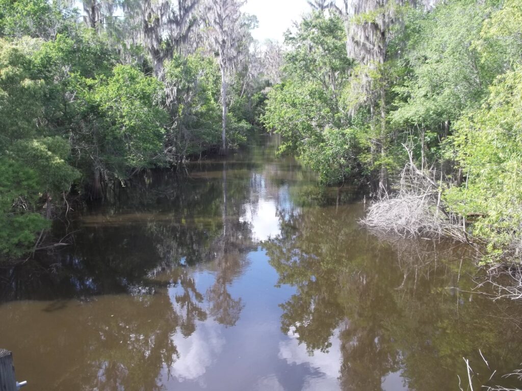 Calm river reflecting blue sky and clouds, surrounded by lush green trees and moss. The serene scene exudes a peaceful, natural atmosphere.