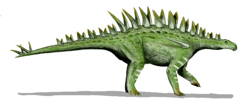 Illustration of a green stegosaur with tall, sharp plates along its back and tail. The dinosaur appears in a walking pose, evoking a prehistoric era.