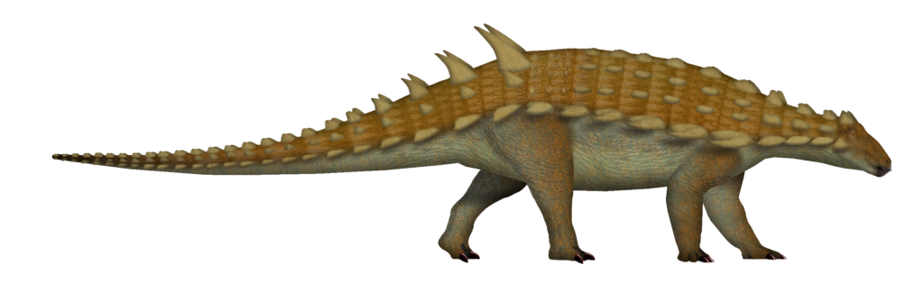A realistic illustration of an armored dinosaur, likely an ankylosaur. It features a spiked back, wide body, and a long tail, conveying strength.