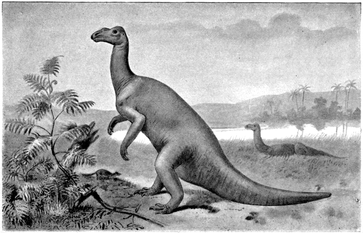 Illustration of an Iguanodon dinosaur standing on hind legs amidst vegetation, with a serene prehistoric landscape and palm trees in the background.