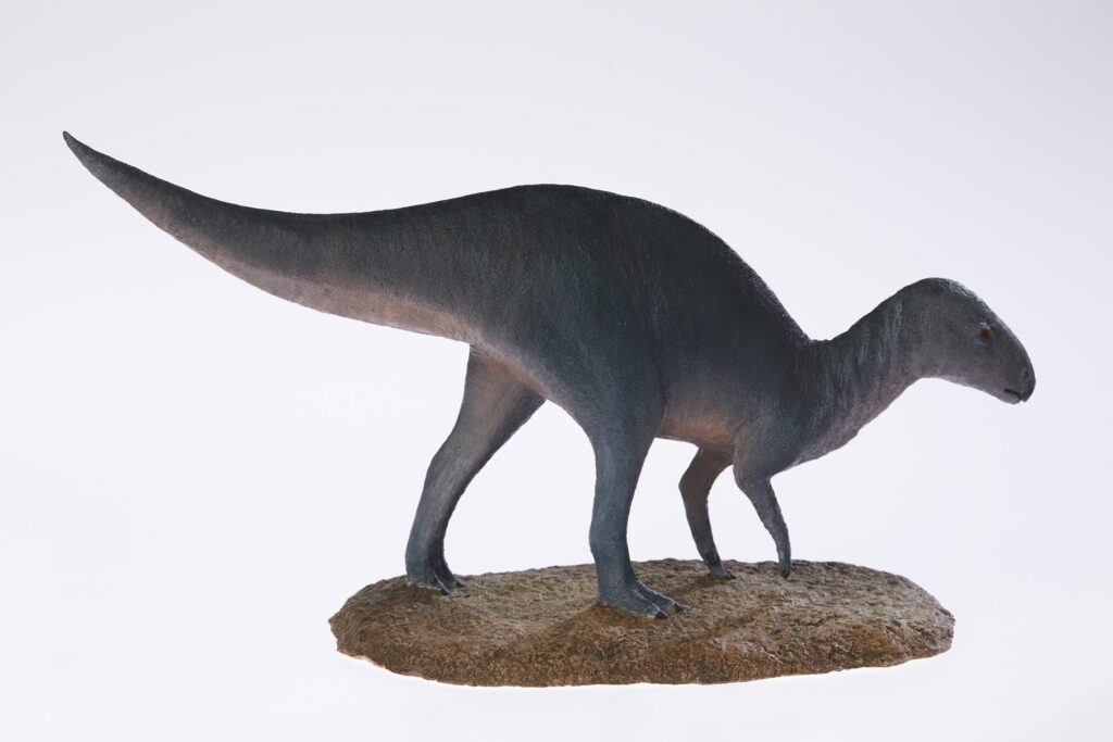 Model of a dinosaur, possibly an Iguanodon, on a textured rock base. It stands on four legs with a long tail, against a plain white background.
