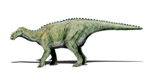 Illustration of a green dinosaur with a long tail and orange spots, standing on four legs. Its textured skin and shading convey a lifelike appearance.