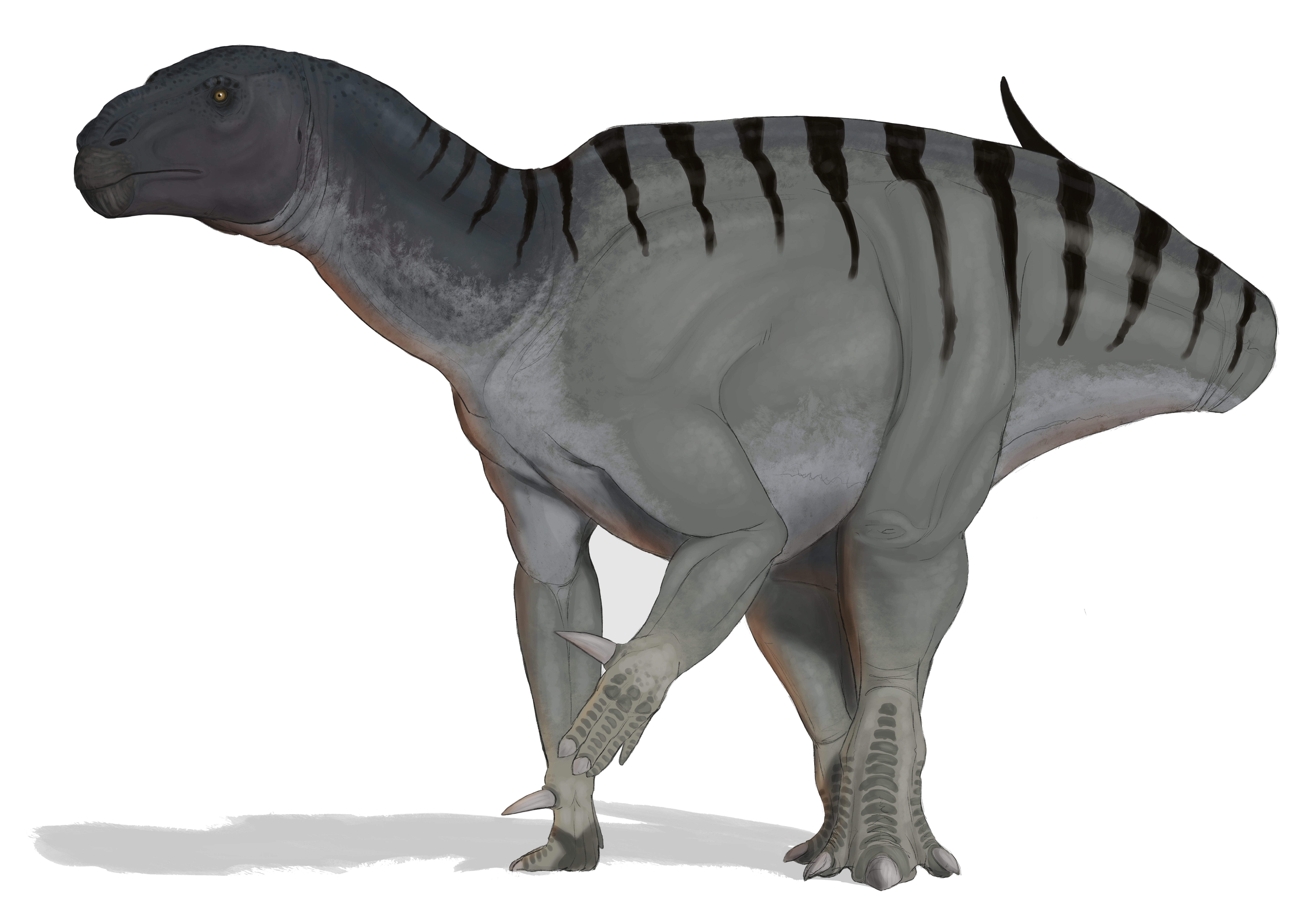 Illustration of a large dinosaur with gray skin and dark stripes, featuring a broad body and thick legs, conveying a sense of strength and ancient majesty.