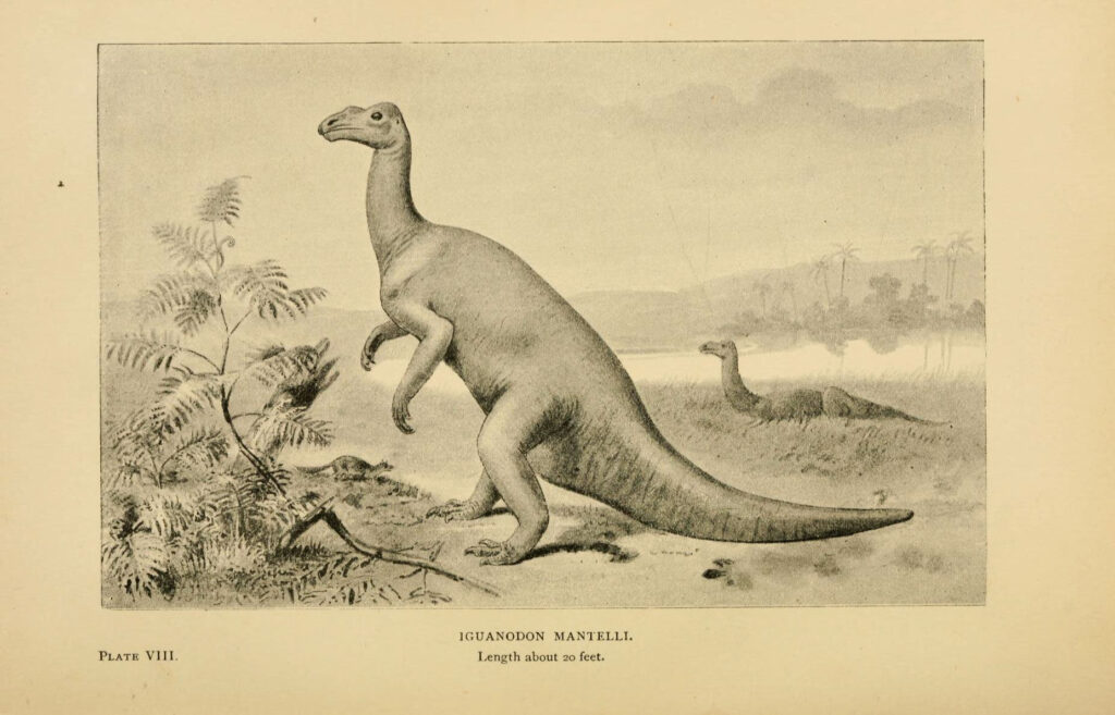 Illustration of an Iguanodon standing upright in a prehistoric landscape with ferns and distant palm trees, conveying a serene, ancient atmosphere.
