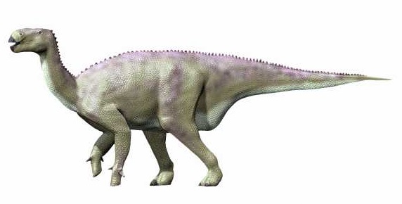 Illustration of a hump-backed dinosaur, with a bulky body and a long tail. It has rough-textured skin and a ridge along its back, walking on all fours.