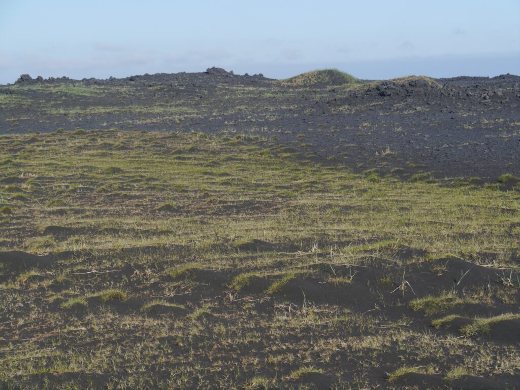 Barren volcanic landscape with a field of sparse green grass on black soil under a clear blue sky, conveying a sense of isolation and rugged beauty.