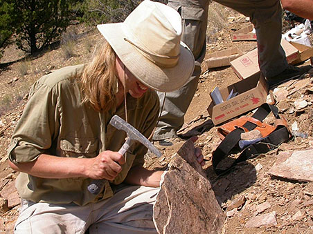 Are scientists rushing dino reclassifications? It’s a delicate balance—chasing accuracy and detail while keeping the taxonomy stable and user-friendly for everyone.