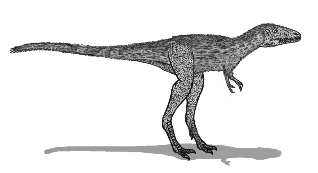 Illustration of a Tarbosaurus dinosaur with textured skin and feathers, standing on two legs. The creature has a long tail and sharp claws.