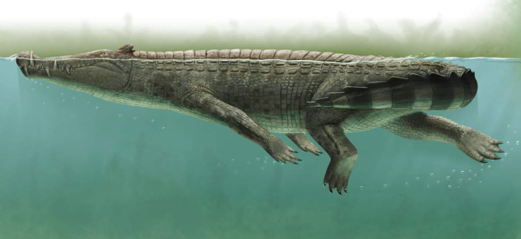 Illustration of a large prehistoric crocodile swimming underwater, showing detailed scales and powerful limbs, conveying a sense of ancient majesty.