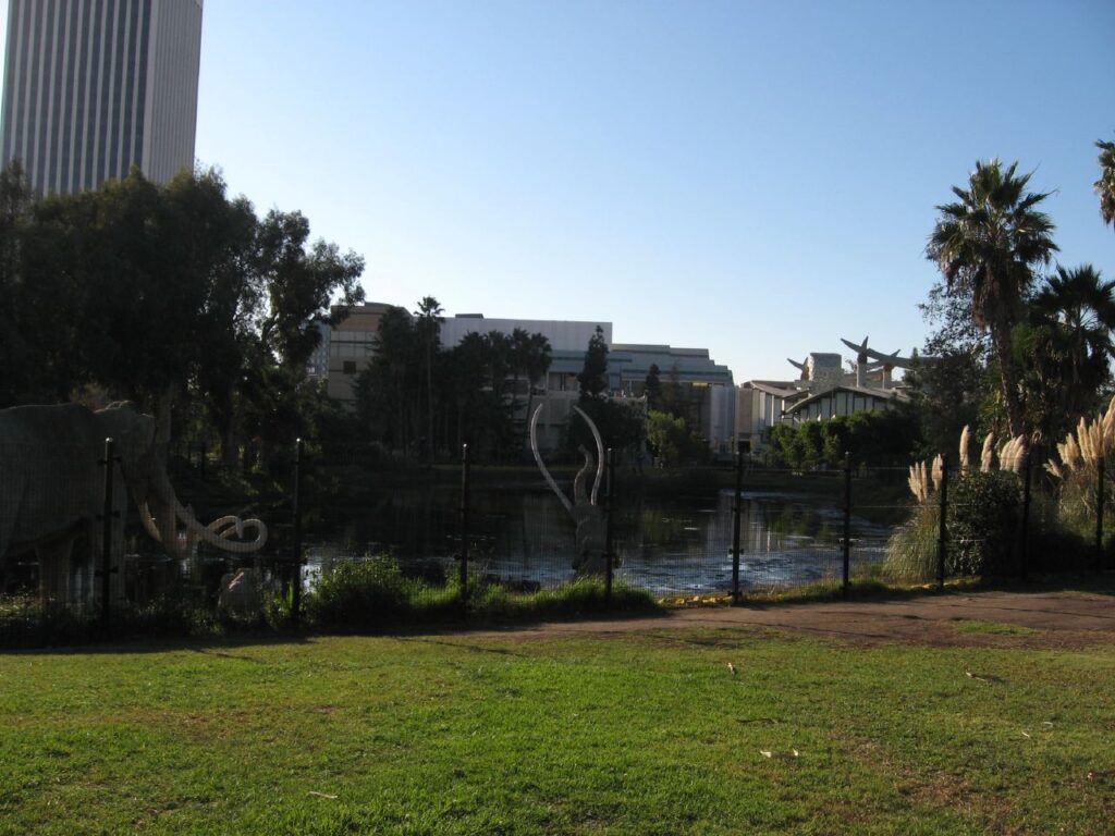 A sunlit park with a green lawn, tall palm trees, and a pond surrounded by a black fence. Buildings loom in the background against a clear blue sky.