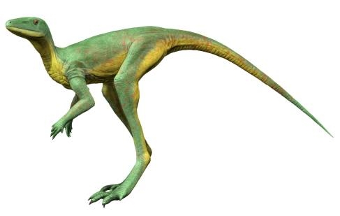 Lagerpeton a key transitional figure, this early dinosauromorph from the Middle Triassic, around 242 million years ago, showcases traits bridging the gap between early reptiles and true dinosaurs.