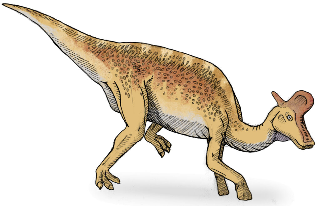 Illustration of a dinosaur with a duck-billed head, orange-brown mottled skin, and a bipedal stance. The overall tone is lifelike and educational.