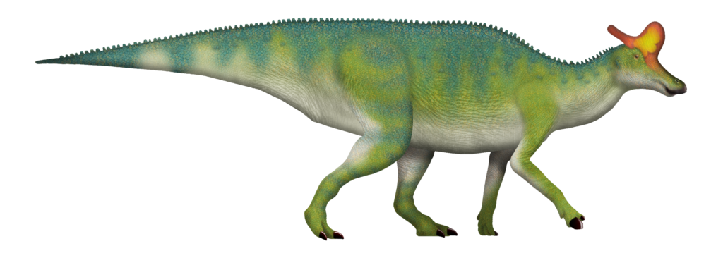 Illustration of a Lambeosaurus dinosaur with a colorful crest. It has green and blue scales, walking on four legs, conveying a prehistoric theme.