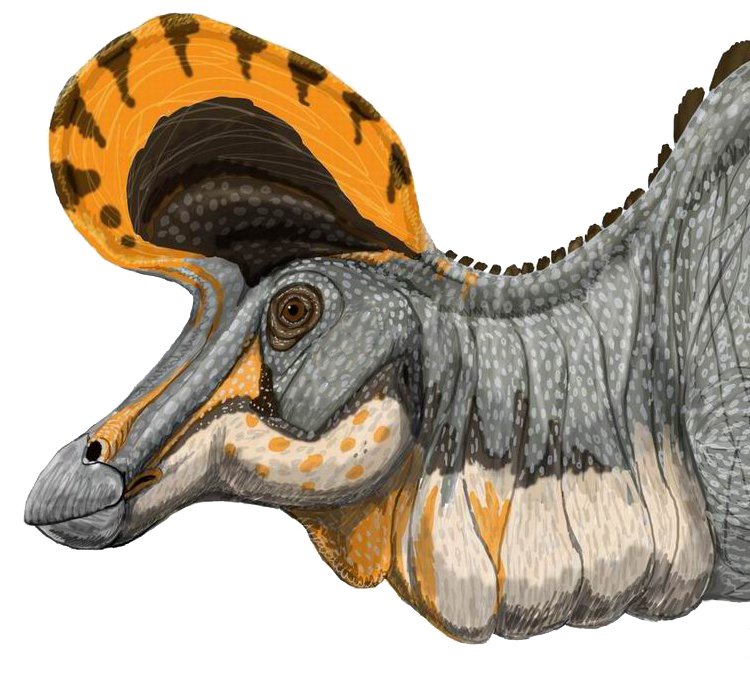 Illustration of a Lambeosaurus with a vibrant orange and black crest. The dinosaur's gray skin features a pattern of lighter spots, conveying a lively and dynamic tone.