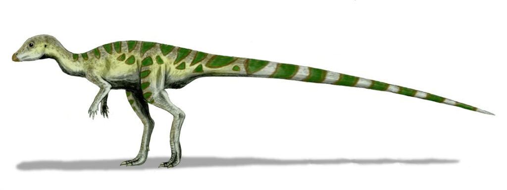 Illustration of a small dinosaur with a slender green and white-striped body, long tail, and short forelimbs, standing on two legs against a plain background.