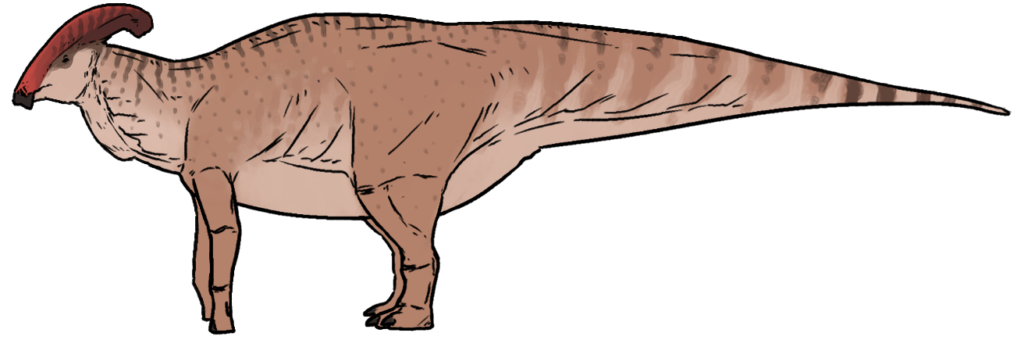 Illustration of a Parasaurolophus dinosaur with a long tail, reddish crest, and light brown, dappled skin. The tone is calm and naturalistic.