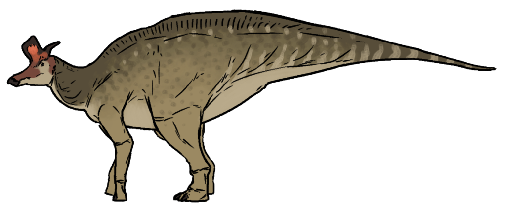 Illustration of a brown, spotted dinosaur with a slender build, long tail, and a distinctive head crest. The dinosaur stands calmly on four legs.