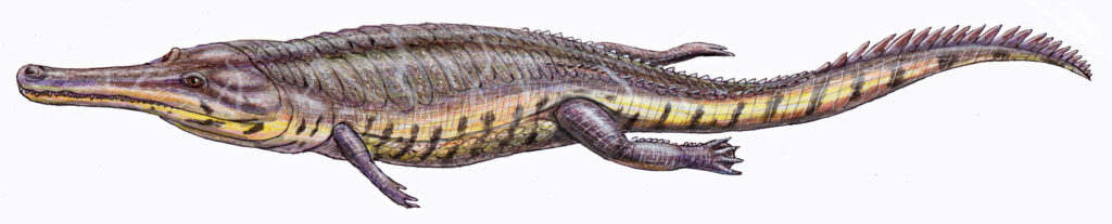 Illustration of a prehistoric crocodile-like creature with a long snout, bumpy scales, and a striped tail. It has a dynamic and detailed appearance.