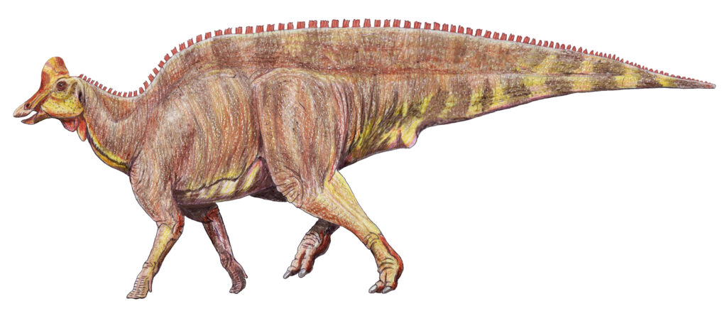 Illustration of a Lambeosaurus dinosaur with a distinctive curved crest. The dinosaur is brown with yellow markings, conveying a calm and majestic presence.