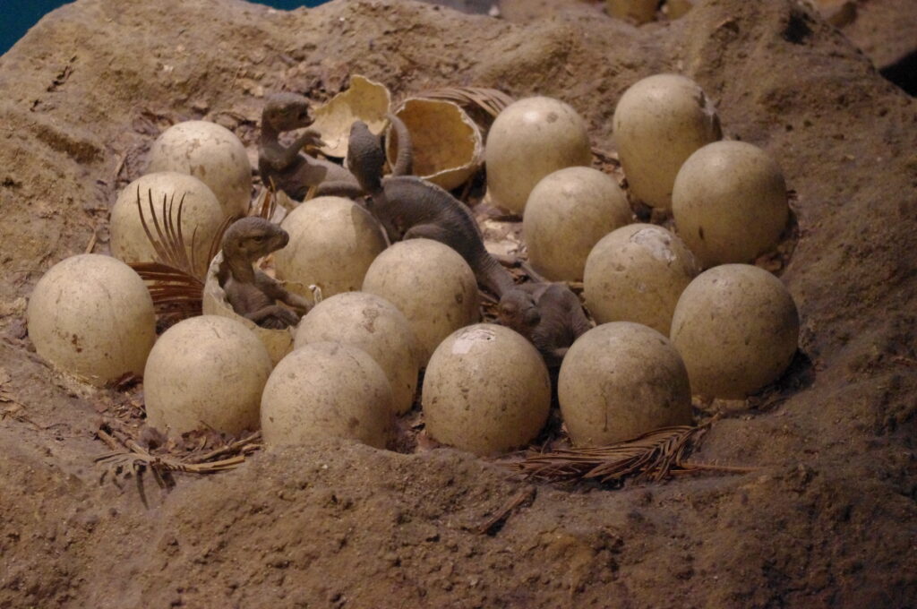 Dinosaur hatchlings emerge from their eggs in a sandy nest