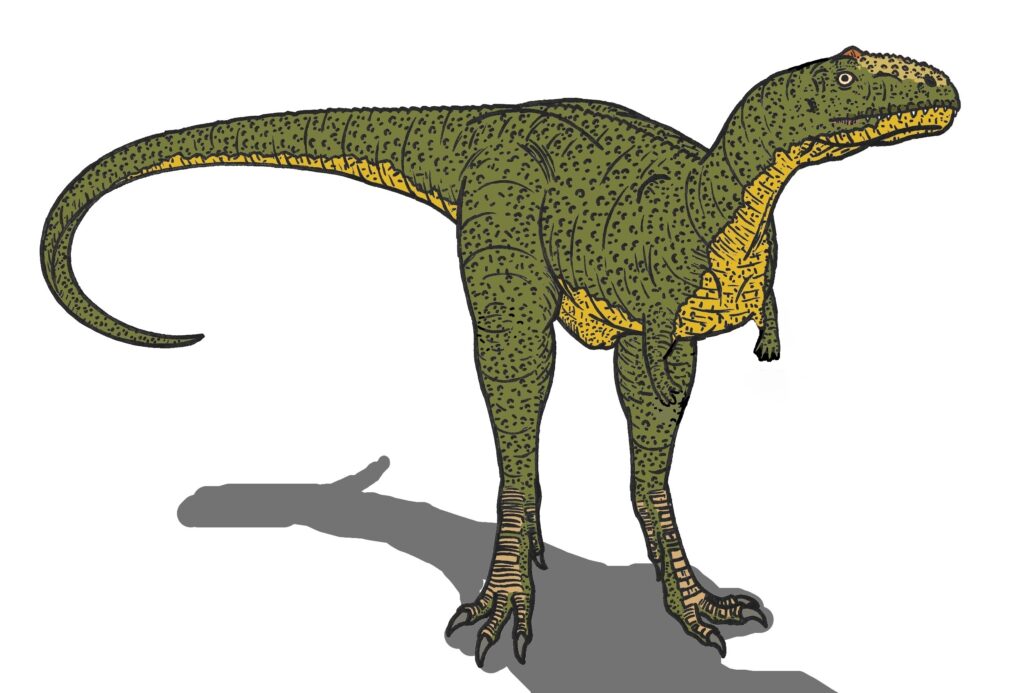 Illustration of a green dinosaur with yellow underbelly, black speckles, and a long tail. It stands upright, casting a shadow on the white background.