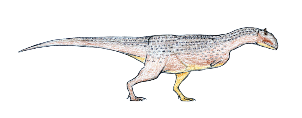 Illustration of a dinosaur with a long tail and large body. It has a speckled pattern on its back and a light orange and yellow hue underneath.