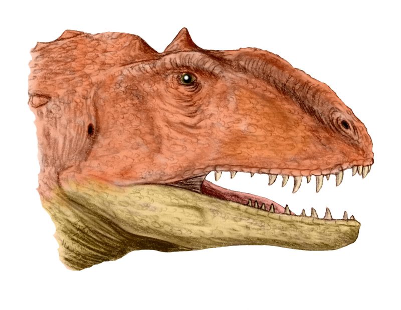 Illustration of a dinosaur head with a wide-open jaw revealing sharp teeth. The skin is textured and reddish-brown, conveying a primal, fierce presence.