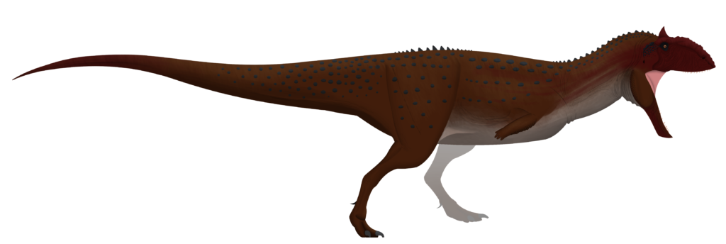 Illustration of a Majungasaurus, a large theropod dinosaur. It has a reddish-brown body with blue spots and an open mouth, showcasing a dynamic stance.
