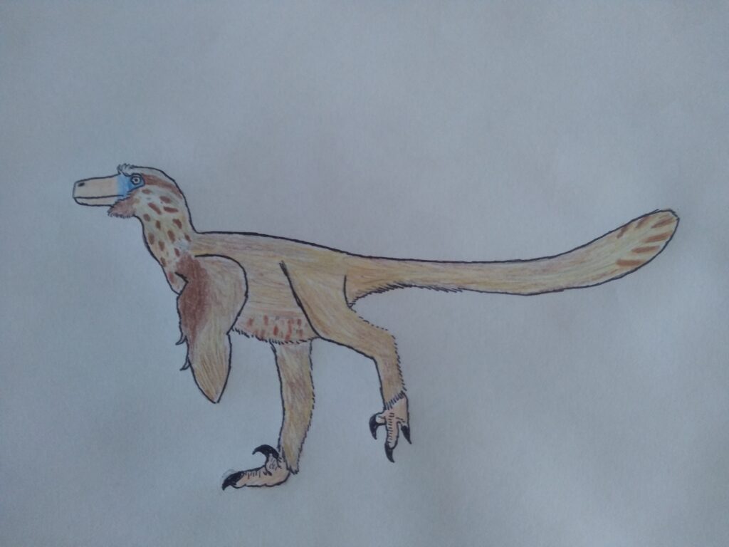 Illustration of a brown, feathered dinosaur with a long tail and blue around its eyes. It has bird-like features and an alert stance.