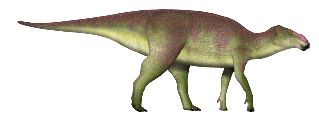Illustration of an dinosaur in profile. It has a robust body, a long tail, and textured, multicolored skin showcasing greens, yellows, and purples.