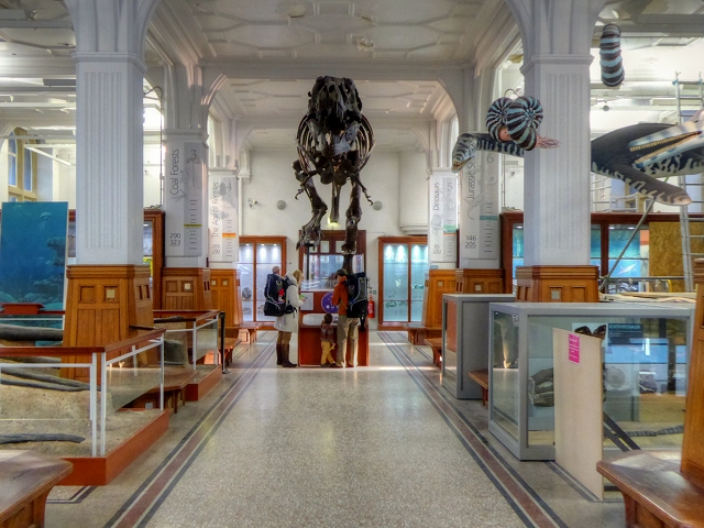 Tyrannosaurus rex called Stan