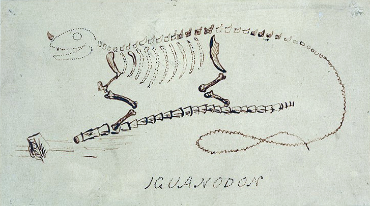 Mantell's Iguanodon restoration