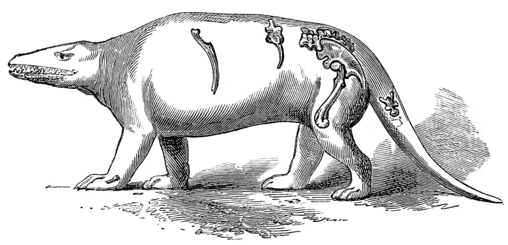 Illustration of an outdated dinosaur depiction with a bulky body, short legs, and a long tail. It appears lizard-like with scales and is set in a simple background.