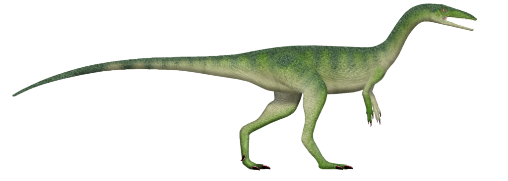 Illustration of a green, bipedal dinosaur with a long tail and slender body, shown in profile against a white background, featuring a dynamic stance.