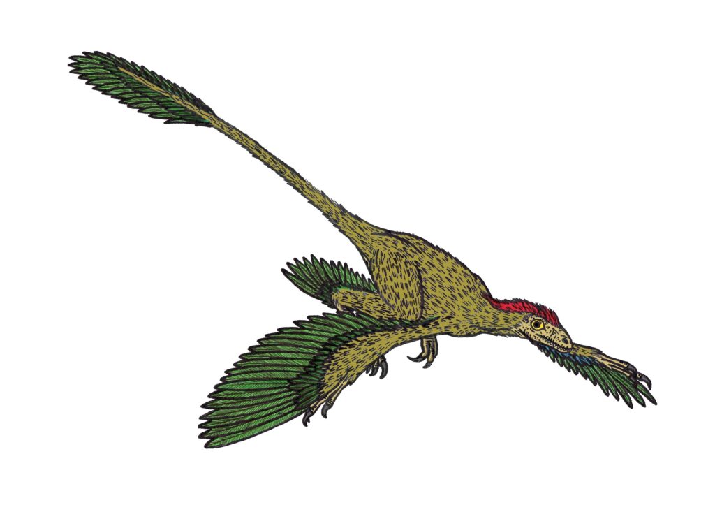 Illustrated dinosaur with green feathers and a red crest, soaring mid-air. Its elongated tail and wings create a dynamic sense of movement.