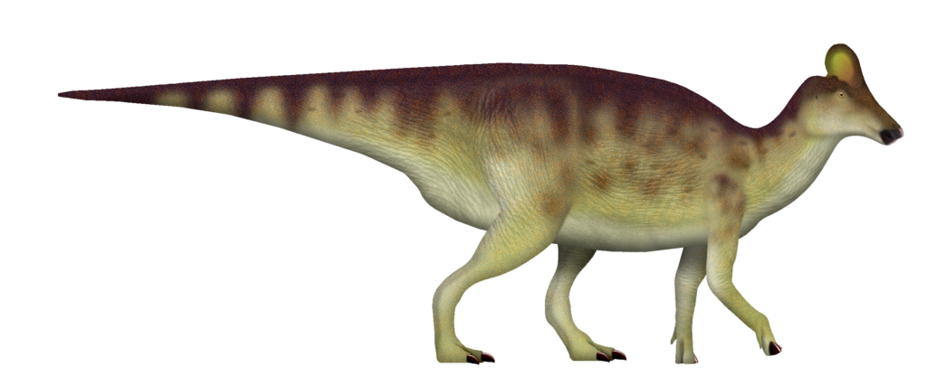 Illustration of an dinosaur. It stands on all fours, with a long tail and a distinct thumb spike. Its skin has a mottled brown and green pattern.